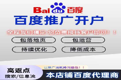 优化搜索流量：SEO技巧的多个成功案例